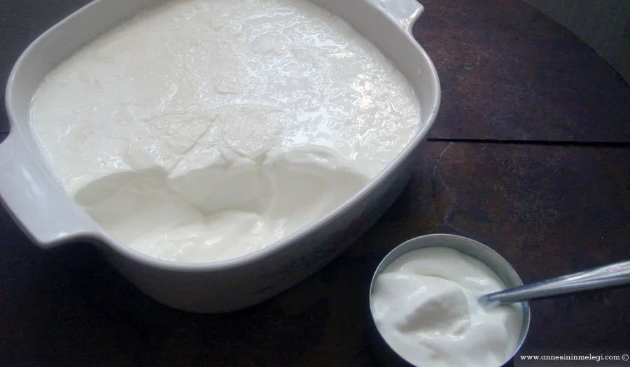 Evde yoğurt mayalama nasıl yapılır? çiğ sütten yoğurt nasıl yapılır,yoğurt nasıl yapılır resimli anlatım, ayran neden yapılır,sütten nasıl yoğurt yapılır, çömlekte yoğurt nasıl yapılır,evde yoğurt mayalama nasıl yapılır,yoğurt neden yapılır,kaymaklı yoğurt nasıl mayalanır,köpüklü ayran nasıl yapılır,süt nasıl yoğurt yapılır,toprak tencerede yoğurt nasıl yapılır, nasıl ayran yapılır,yoğurt suyu nasıl yapılır,yoğurt nasıl,koyun sütünden yoğurt nasıl yapılır,kaymsk gibi,yoğurt evde nasıl yapılır,süt tarhanası nasıl yapılır,kefirden yoğurt nasıl yapılır,güzel yoğurt nasıl yapılır, manda sütü ile yoğurt nasıl yapılır,taze yoğurt nasıl yapılır, evde nasıl yoğurt yapılır,yağsız yoğurt diyeti nasıl yapılır, yoğurt nasıl yapılır vikipedi,evde yoğurt nasıl yapılır video, en güzel yoğurt nasıl yapılır,günlük süt ile yoğurt nasıl yapılır,ayran nasıl yapılır uzman tv,evde kaymaklı yoğurt yapımı,güveçte yoğurt nasıl yapılır,günlük sütle yoğurt nasıl yapılır, ayran köpüğü nasıl yapılır,yoğurt makinesinde meyveli yoğurt nasıl yapılır yoğurt kaymağı nasıl yapılır,nasıl yoğurt yapılır,köpüklü ayran nasıl yapılır video,evde ayran nasıl yapılır,koyu kıvamlı yoğurt nasıl yapılır,keçi sütü ile yoğurt nasıl yapılır,yoğurt makinesiyle yoğurt nasıl yapılır,güzel ayran nasıl yapılır,en iyi ayran nasıl yapılır,sütten ayran nasıl yapılır,yoğurt nasıl yapılır kısaca,günlük sütten yoğurt nasıl yapılır,en güzel ayran nasıl yapılır,manda sütünden yoğurt nasıl yapılır,en iyi yoğurt nasıl yapılır,prebiyotik yoğurt nasıl yapılır,yoğurt nasıl yapılır tarifi,yoğurt nasıl yapılır video, kaymaklı yoğurt nasıl yapılır,yoğurt üretimi nasıl yapılır,yoğurt imalatı nasıl yapılır,evde yoğurt mayası nasıl yapılır,hazır ayran nasıl yapılır,doğal yoğurt nasıl yapılır,yoğurt mayalama nasıl yapılır,evde yağsız yoğurt nasıl yapılır,sütten yoğurt nasıl yapılır,yağsız yoğurt nasıl yapılır,arzum yoğurt makinesi ile yoğurt nasıl yapılır,yogurt nasil yapilir evde,iyi yoğurt nasıl yapılır,ayran üretimi nasıl yapılır,arzum yoğurt makinesinde yoğurt nasıl yapılır,iyi ayran nasıl yapılır,devam sütünden yoğurt nasıl yapılır,ev yapımı yoğurt nasıl yapılır,yoğurt makinesinde nasıl yoğurt yapılır,yoğurt nasıl yapılır,doğal yoğurt mayası nasıl yapılır,sütten yağ nasıl ayrılır,yoğurt kaymağı,katı yoğurt nasıl yapılır,evde yoğurt yapımı yoğurt nasıl yapılır,keçi sütünden yoğurt nasıl yapılır,devam sütü ile yoğurt nasıl yapılır,yoğurt yapma makinesinde yoğurt nasıl yapılır,peynir nasıl yapılır uzman tv,ayrandan peynir yapımı,,evde kaşar nasıl yapılır,yoğurt diyeti nasıl yapılır,tereyağ ile yoğurt mayalama,ev tipi ayran makinası,pastörize sütten yoğurt nasıl yapılır, yayık ayran nasıl yapılır,yayik ayran nasil yapilir,yayık ayran tarifi,tereyağı ile yoğurt nasıl mayalanır. Ayran nasıl yapılır