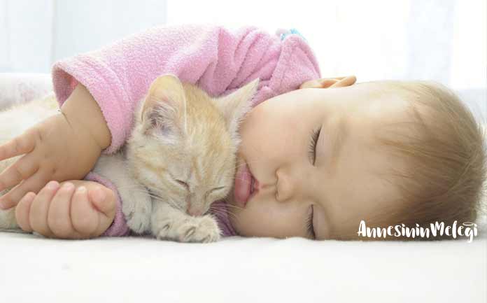 Kediler yenidoğanlarda astımı engelliyor