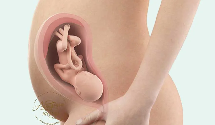 Hamileliğinizin (Gebeliğinizin) 31. Haftasında sizi neler bekliyor? 31 hafta hamilelik 31 hafta hamilelik kaç aylık 31 hafta hamilelikte cinsel ilişki 31 hafta hamilelikte bebek kilosu 31.hafta hamilelik kadınlar kulübü 31 hafta hamile olanlar 31.hafta hamilelikte karın ağrısı 31.hafta hamilelik uzman tv 31. hafta hamilelik raporu 31 hafta hamilelikte cinsellik 31 hafta hamile 31 haftalık hamile görüntüleri 31.hafta hamilelik görüntüleri 31.hafta hamilelik blog 31 haftalık hamile anneler 31.hafta gebelik annedeki değişiklikler 31.hafta gebelik ağrıları 31. hafta gebelik akıntı 31 haftalık hamile kaç aylık 31 haftalık hamilelik kaç ay eder 31 haftalık hamilelik kaç ay 31.hafta gebelik kasık ağrısı 31.hafta gebelik karın ağrısı 31 hafta hamilelik beslenme 31 haftalık hamilelik bebek kilosu 31 haftalık hamilelik bebeğin kilosu 31 haftalık hamilelik belirtileri 31 haftalik hamilelik bebek gelisimi 31.hafta gebelik bebek hareketleri 31.hafta gebelik bebek gelişimi 31. hafta gebelik bebek kaç kilo 31.hafta gebelik boy kilo 31. hafta gebelik cinsellik 31. hafta gebelik cem fıçıcıoğlu 31 haftalik hamile isten cikarilirsa 31.hafta gebelik çalışabilir raporu 31 hafta gebelik çatı muayenesi 31.hafta çoğul gebelik 31 hafta gebelik doğum izni 31 hafta gebelik doğum 31.hafta gebelik dr nevra 31.hafta da gebelik 31.hafta gebelik egzersizleri 31 hafta hamilelik kaç ay eder 31.hafta gebelik forum 31 haftalık hamile göbeği 31 haftalik hamile gunlugu 31 haftalık hamile görüntüsü 31. hafta hamilelik günlüğü 31 haftalık hamilelik görüntüsü 31 haftalık hamilelik günlüğü 31 haftalık hamilelik gelişimi 31 hafta gebelik gelişimi 31 haftalık hamilelik hesaplama 31 hafta gebelik hesaplama 31.hafta gebelik ht hayat 31 hafta gebelik halsizlik 31 hafta gebelik hurriyet 31.hafta gebelik izni 31.hafta gebelik izle 31 hafta ikiz hamilelik 31 haftalık ikiz hamilelik 31 hafta gebelik jinekoloji 31 haftalık hamile karnı 31 haftalık hamile kadın görüntüsü 31 haftalık hamile kadın 31. hafta gebelik kilo 31 haftalik gebelik 31.hafta gebelik muayenesi 31. hafta gebelik mide bulantısı 31 haftalık hamilelik nasıl olur 31. hafta gebelik nst 31.hafta gebe ne yemeli 31.hafta gebelik nasıl hesaplanır 31 hafta gebelik neler olur 31.hafta gebelik nasıltv 31 hafta gebelik raporu ne zaman alınır 31 haftalık hamile olanlar kadınlar kulübü 31 haftalık hamile olan varmı 31 hafta gebe olanlar 31 hafta gebelik ozellikleri 31 haftalık hamile kaç aylık olur 31. hafta gebelik raporu öğretmen 31 hafta gebelik raporu örneği 31 haftalık hamilelik raporu 31.hafta gebelik raporu 31 hafta gebelik rapor 31+3 haftalık hamilelik 31.hafta gebelik şikayetleri 31. hafta gebelik ultrason 31 haftalık hamilelik videosu 31 hafta gebelik ve beslenme 31. hafta gebelik ve cinsellik 31 hafta gebelik ve bebek 31 haftalik hamilelik video 31. hafta gebelik youtube 31 haftalik hamilelik kac ay yapar 31+0 hafta gebelik 31+1 haftalık hamilelik 31+1 hafta gebelik 31 hafta 1 günlük hamileyim 31+2 haftalık hamileyim 31+2 hafta gebelik 31 hafta 2 günlük hamileyim 31 hafta 3 günlük gebelik 31 hafta 3 günlük hamileyim 31 hafta 4 gunluk hamile 31+4 haftalık hamileyim 31 hafta 4 günlük hamilelik 31 hafta 4 günlük hamileyim 31 hafta 5 gunluk hamile 31+5 hafta gebelik 31 hafta 5 günlük hamilelik 31 hafta 5 günlük hamileyim 31+6 hafta gebelik 31 hafta 6 gunluk hamilelik 31 hafta hamilelik kaç aylık hamilelikte 31.hafta kaçıncı ay hamilelikte 31 hafta neler olur 31 haftalık gebe  31 haftalık gebelikte 31 haftalık gebelik  31.hafta gebelik 31 haftalıkken bebeğin kilosu  gebelikte 31.hafta 31 haftalık bebek  31 haftalik hamilelik  31 haftalık bebeğin gelişimi  31 haftalık gebelikte bebeğin kilosu  31 haftalık hamile hamilelikte 31 hafta  31 hafta 3 günlük gebelik gebeliğin 31 haftası 31 haftalık gebelik gelişimi gebelikte 31 haftalık bebek kilosu 31 haftalik bebek gelisimi gebeligin 31 haftasi 31 hafta  gebeliğin 31 haftasında bebeğin kilosu  31 haftalık gebelik kilosu hamilelik 31 hafta hamilelikte 31 hafta bebek kilosu 31 haftada bebek gelişimi 31 haftalık gebelikte bebek 31 hafta gebelikte bebeğin kilosu anne karnında 31 haftalık bebek  31 haftalik bebek anne karninda 31 haftalık bebek anne karnında bebeğim 31 haftalık gebelikte 31 hafta bebek gelişimi hamilelikte 31 hafta bebek gelişimi  31 hafta 4 günlük gebelik 31 haftalık bebek  31 hafta 1 günlük gebelik 31 hafta 4 günlük hamilelik 31 gebelik haftası  31 haftalık bebek hareketleri  31 haftalık anne karnında bebek hamilelikte 31 haftalık bebek kilosu gebeligin 31 haftasinda bebegin kilosu  31 haftalık gebelik bebek gelişimi  31 haftalık bebeğin kilosu ne kadar olmalı  31 haftalık bebeğin görüntüsü  31 haftalık bebek görünümü 31 hafta 2 günlük gebelik 31 haftalık gebelik görüntüleri 31 haftalık gebelikte neler olur  gebelikte 31 haftalık gebelik kilo 31 haftalık anne karnındaki bebek 31 hafta gebelik görüntüleri 31 hafta 5 günlük gebelik anne karnında 31 haftalık bebek kilosu 31 haftalik hamileyim  31 hafta 4 günlük bebeğin kilosu 31 haftalık bebeğin kilosu ve boyu 31 haftalık gebelikte bebek hareketleri  31 hafta 5 günlük bebek kilosu hamileliğin 31 haftasında bebeğin durumu nasıldır 31 haftalık bebeğin hareketleri gebeliğin 31 haftasında yapılması gerekenler 31 haftalık gebelikte bebek hareketleri nasıl olur 31 haftalık gebelikte bebeğin hareketleri 31 haftada bebek kaç kilo olmalı 31 haftalık gebelikte annedeki değişiklikler 31 haftalık gebelikte dikkat edilmesi gerekenler 31 haftada sancılar 31 haftada bebek kaç kilo olur  31 haftalık hamilelikte bebeğin kilosu  31 haftalık doğum 31 haftalık gebelikte kasılmalar 31 haftalık gebelikte sancı olurmu 31 haftalik bebek kaç aylik 31 hafta kac ay 31 haftalık bebek kaç aylık olur 31 hafta gebelik kaç aylık 31 hafta kaç aylık  31 haftalık hamileyim sancım var 31 haftalık gebelikte karın ağrısı 31 hafta kaç ay hamileliğin 31 haftasında karın ağrısı 31 haftalık gebelik karın ağrısı 31 haftalık gebelikte rahim ağrısı 31 haftalık gebelikte sancılar 31 hafta kaç ay eder 31 haftalık gebelikte bel ve kasık ağrısı hamilelikte 31 hafta kasık ağrısı 31 hafta gebelik kasık ağrısı  31 haftalık bebek kilosu boyu 31 haftalık bebek boy ve kilosu anne karnında 31 haftalık bebek kaç aylıktır 31 haftada dogum olur mu 31 haftalık erken doğum 31 haftalık gebelik annedeki değişiklikler gebelikte 31 hafta kaç aylık oluyor 31 hafta doğum  31 haftalık gebelikte sırt ağrısı 31 haftalık gebelikte kaç kilo alınır 31 haftalık gebelikte nasıl beslenmeli