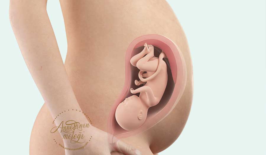 Hamilelikte 32. hafta itibariyle bebeğinizin boyu yaklaşık olarak 42-43 cm, kilosu ise 1.700 - 1.900 gramdır.32 hafta hamilelik 32 hafta hamilelik kaç aylık 32 hafta hamilelikte cinsel ilişki 32 hafta hamilelikte bebek kilosu 32.hafta hamilelik kadınlar kulübü 32 hafta hamile olanlar 32.hafta hamilelikte karın ağrısı 32.hafta hamilelik uzman tv 32. hafta hamilelik raporu 32 hafta hamilelikte cinsellik 32 hafta hamile 32 haftalık hamile görüntüleri 32.hafta hamilelik görüntüleri 32.hafta hamilelik blog 32 haftalık hamile anneler 32.hafta gebelik annedeki değişiklikler 32.hafta gebelik ağrıları 32. hafta gebelik akıntı 32 haftalık hamile kaç aylık 32 haftalık hamilelik kaç ay eder 32 haftalık hamilelik kaç ay 32.hafta gebelik kasık ağrısı 32.hafta gebelik karın ağrısı 32 hafta hamilelik beslenme 32 haftalık hamilelik bebek kilosu 32 haftalık hamilelik bebeğin kilosu 32 haftalık hamilelik belirtileri 32 haftalik hamilelik bebek gelisimi 32.hafta gebelik bebek hareketleri 32.hafta gebelik bebek gelişimi 32. hafta gebelik bebek kaç kilo 32.hafta gebelik boy kilo 32. hafta gebelik cinsellik 32. hafta gebelik cem fıçıcıoğlu 32 haftalik hamile isten cikarilirsa 32.hafta gebelik çalışabilir raporu 32 hafta gebelik çatı muayenesi 32.hafta çoğul gebelik 32 hafta gebelik doğum izni 32 hafta gebelik doğum 32.hafta gebelik dr nevra 32.hafta da gebelik 32.hafta gebelik egzersizleri 32 hafta hamilelik kaç ay eder 32.hafta gebelik forum 32 haftalık hamile göbeği 32 haftalik hamile gunlugu 32 haftalık hamile görüntüsü 32. hafta hamilelik günlüğü 32 haftalık hamilelik görüntüsü 32 haftalık hamilelik günlüğü 32 haftalık hamilelik gelişimi 32 hafta gebelik gelişimi 32 haftalık hamilelik hesaplama 32 hafta gebelik hesaplama 32.hafta gebelik ht hayat 32 hafta gebelik halsizlik 32 hafta gebelik hurriyet 32.hafta gebelik izni 32.hafta gebelik izle 32 hafta ikiz hamilelik 32 haftalık ikiz hamilelik 32 hafta gebelik jinekoloji 32 haftalık hamile karnı 32 haftalık hamile kadın görüntüsü 32 haftalık hamile kadın 32. hafta gebelik kilo 32 haftalik gebelik 32.hafta gebelik muayenesi 32. hafta gebelik mide bulantısı 32 haftalık hamilelik nasıl olur 32. hafta gebelik nst 32.hafta gebe ne yemeli 32.hafta gebelik nasıl hesaplanır 32 hafta gebelik neler olur 32.hafta gebelik nasıltv 32 hafta gebelik raporu ne zaman alınır 32 haftalık hamile olanlar kadınlar kulübü 32 haftalık hamile olan varmı 32 hafta gebe olanlar 32 hafta gebelik ozellikleri 32 haftalık hamile kaç aylık olur 32. hafta gebelik raporu öğretmen 32 hafta gebelik raporu örneği 32 haftalık hamilelik raporu 32.hafta gebelik raporu 32 hafta gebelik rapor 32+3 haftalık hamilelik 32.hafta gebelik şikayetleri 32. hafta gebelik ultrason 32 haftalık hamilelik videosu 32 hafta gebelik ve beslenme 32. hafta gebelik ve cinsellik 32 hafta gebelik ve bebek 32 haftalik hamilelik video 32. hafta gebelik youtube 32 haftalik hamilelik kac ay yapar 32+0 hafta gebelik 32+1 haftalık hamilelik 32+1 hafta gebelik 32 hafta 1 günlük hamileyim 32+2 haftalık hamileyim 32+2 hafta gebelik 32 hafta 2 günlük hamileyim 32 hafta 3 günlük gebelik 32 hafta 3 günlük hamileyim 32 hafta 4 gunluk hamile 32+4 haftalık hamileyim 32 hafta 4 günlük hamilelik 32 hafta 4 günlük hamileyim 32 hafta 5 gunluk hamile 32+5 hafta gebelik 32 hafta 5 günlük hamilelik 32 hafta 5 günlük hamileyim 32+6 hafta gebelik 32 hafta 6 gunluk hamilelik 32 hafta hamilelik kaç aylık hamilelikte 32.hafta kaçıncı ay hamilelikte 32 hafta neler olur 32 haftalık gebe  32 haftalık gebelikte 32 haftalık gebelik  32.hafta gebelik 32 haftalıkken bebeğin kilosu  gebelikte 32.hafta 32 haftalık bebek  32 haftalik hamilelik  32 haftalık bebeğin gelişimi  32 haftalık gebelikte bebeğin kilosu  32 haftalık hamile hamilelikte 32 hafta  32 hafta 3 günlük gebelik gebeliğin 32 haftası 32 haftalık gebelik gelişimi gebelikte 32 haftalık bebek kilosu 32 haftalik bebek gelisimi gebeligin 32 haftasi 32 hafta  gebeliğin 32 haftasında bebeğin kilosu  32 haftalık gebelik kilosu hamilelik 32 hafta hamilelikte 32 hafta bebek kilosu 32 haftada bebek gelişimi 32 haftalık gebelikte bebek 32 hafta gebelikte bebeğin kilosu anne karnında 32 haftalık bebek  32 haftalik bebek anne karninda 32 haftalık bebek anne karnında bebeğim 32 haftalık gebelikte 32 hafta bebek gelişimi hamilelikte 32 hafta bebek gelişimi  32 hafta 4 günlük gebelik 32 haftalık bebek  32 hafta 1 günlük gebelik 32 hafta 4 günlük hamilelik 32 gebelik haftası  32 haftalık bebek hareketleri  32 haftalık anne karnında bebek hamilelikte 32 haftalık bebek kilosu gebeligin 32 haftasinda bebegin kilosu  32 haftalık gebelik bebek gelişimi  32 haftalık bebeğin kilosu ne kadar olmalı  32 haftalık bebeğin görüntüsü  32 haftalık bebek görünümü 32 hafta 2 günlük gebelik 32 haftalık gebelik görüntüleri 32 haftalık gebelikte neler olur  gebelikte 32 haftalık gebelik kilo 32 haftalık anne karnındaki bebek 32 hafta gebelik görüntüleri 32 hafta 5 günlük gebelik anne karnında 32 haftalık bebek kilosu 32 haftalik hamileyim  32 hafta 4 günlük bebeğin kilosu 32 haftalık bebeğin kilosu ve boyu 32 haftalık gebelikte bebek hareketleri  32 hafta 5 günlük bebek kilosu hamileliğin 32 haftasında bebeğin durumu nasıldır 32 haftalık bebeğin hareketleri gebeliğin 32 haftasında yapılması gerekenler 32 haftalık gebelikte bebek hareketleri nasıl olur 32 haftalık gebelikte bebeğin hareketleri 32 haftada bebek kaç kilo olmalı 32 haftalık gebelikte annedeki değişiklikler 32 haftalık gebelikte dikkat edilmesi gerekenler 32 haftada sancılar 32 haftada bebek kaç kilo olur  32 haftalık hamilelikte bebeğin kilosu  32 haftalık doğum 32 haftalık gebelikte kasılmalar 32 haftalık gebelikte sancı olurmu 32 haftalik bebek kaç aylik 32 hafta kac ay 32 haftalık bebek kaç aylık olur 32 hafta gebelik kaç aylık 32 hafta kaç aylık  32 haftalık hamileyim sancım var 32 haftalık gebelikte karın ağrısı 32 hafta kaç ay hamileliğin 32 haftasında karın ağrısı 32 haftalık gebelik karın ağrısı 32 haftalık gebelikte rahim ağrısı 32 haftalık gebelikte sancılar 32 hafta kaç ay eder 32 haftalık gebelikte bel ve kasık ağrısı hamilelikte 32 hafta kasık ağrısı 32 hafta gebelik kasık ağrısı  32 haftalık bebek kilosu boyu 32 haftalık bebek boy ve kilosu anne karnında 32 haftalık bebek kaç aylıktır 32 haftada dogum olur mu 32 haftalık erken doğum 32 haftalık gebelik annedeki değişiklikler gebelikte 32 hafta kaç aylık oluyor 32 hafta doğum  32 haftalık gebelikte sırt ağrısı 32 haftalık gebelikte kaç kilo alınır 32 haftalık gebelikte nasıl beslenmeli
