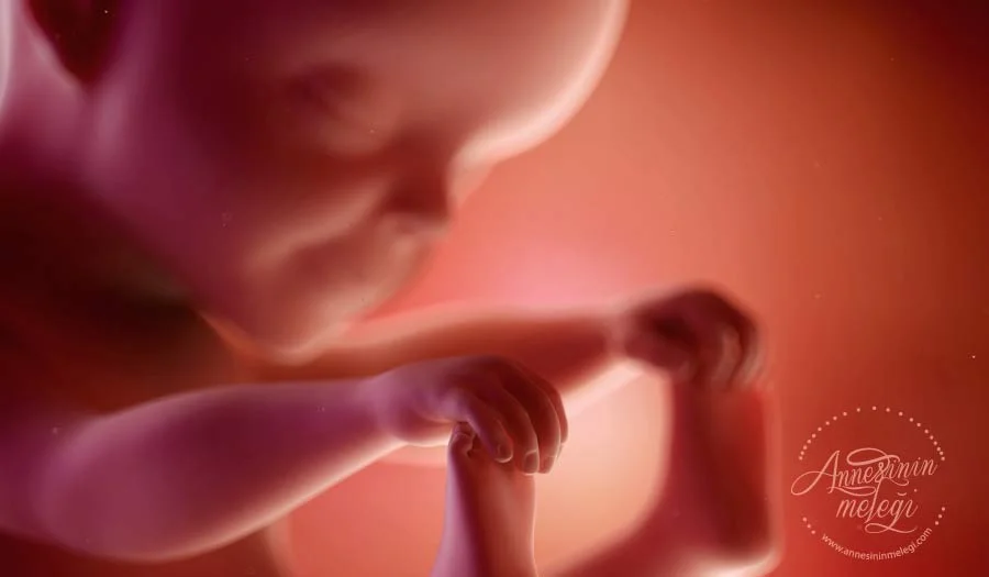 Gebelikte 33. hafta itibariyle bebeğinizin boyu yaklaşık olarak 43-44 cm, bir ananas büyüklüğünde diyebiliriz, kilosu ise 2.000 - 2.200 gramdır. 33 hafta 1 gunluk hamileyim 33 hafta 1 günlük gebelik 33 hafta 1 günlük hamilelik 33 hafta 2 günlük hamilelik 33 hafta 3 günlük gebelik 33 hafta 3 günlük hamilelik 33 hafta 3 günlük hamileyim 33 hafta 4 gunluk hamileyim 33 hafta 5 günlük hamilelik 33 hafta 6 günlük gebelik 33 hafta 6 günlük hamilelik 33 hafta da gebelik 33 hafta e gebelik 33 hafta gebelik cem fıçıcıoğlu 33 hafta gebelik doğum 33 hafta gebelik durumu 33 hafta gebelik gelişimi 33 hafta gebelik jinekoloji 33 hafta gebelik kasık ağrısı 33 hafta gebelik mide bulantısı 33 hafta gebelik ultrason görüntüleri 33 hafta gebelik youtube 33 hafta gebelik şikayetleri 33 hafta hamile 33 hafta hamile kaç aylık olur 33 hafta hamile olanlar 33 hafta hamilelik 33 hafta hamilelik bebek kilosu 33 hafta hamilelik görüntüleri 33 hafta hamilelik kadınlar kulübü 33 hafta hamilelik kaç ay 33 hafta hamilelik ultrason görüntüleri 33 hafta hamilelik uzman tv 33 hafta hamilelik video 33 hafta hamilelikte otobüs yolculuğu 33 hafta ikiz gebelik 33 hafta ikiz gebelik uzman tv 33 haftalik gebelik 33 haftalik hamile gobegi 33 haftalik hamile kadin 33 haftalik hamilelik bebek gelisimi 33 haftalik hamilelik gelisimi 33 haftalik hamilelik kac ay 33 haftalik hamilelik video 33 haftalik ikiz hamilelik 33 haftalık hamile 33 haftalık hamile anneler 33 haftalık hamile bayanlar 33 haftalık hamile blogları 33 haftalık hamile günlüğü 33 haftalık hamile karnı 33 haftalık hamile kaç aylık 33 haftalık hamile ne yemeli 33 haftalık hamile olanlar bebeğiniz kaç kilo 33 haftalık hamilelik blog 33 haftalık hamilelik dönemi 33 haftalık hamilelik görüntüsü 33 haftalık hamilelik günlüğü 33 haftalık hamilelik kaç ay oluyor 33 haftalık hamilelik kaç aylık 33 haftalık hamilelik kaç aylık oluyor 33 haftalık hamilelik nasıl olur 33 haftalık hamilelik videoları 33 haftalık ikiz hamilelik 33+0 hafta gebelik 33+0 haftalik hamilelik 33+1 hafta gebelik 33+1 haftalık hamilelik 33+2 hafta gebelik 33+2 haftalık hamileyim 33+3 hafta gebelik 33+3 haftalık hamilelik 33+4 haftalık hamilelik 33+6 haftalik hamilelik 33. hafta gebelik bebek çok hareketli 33. hafta gebelik blog 33. hafta gebelik forum 33. hafta gebelik günlüğü 33. hafta gebelik ultrason 33. hafta gebelik uyku 33. hafta hamilelikte kasık ağrısı 33. hafta hamilelikte mide bulantısı 33.hafta gebelik annedeki değişiklikler 33.hafta gebelik bebek hareketleri 33.hafta gebelik beslenme 33.hafta gebelik cinsellik 33.hafta gebelik dr nevra 33.hafta gebelik erken doğum 33.hafta gebelik haftası 33.hafta gebelik karın ağrısı 33.hafta hamilelik blog 33.hafta hamilelikte cinsellik 33 hafta hamile kaç aylık olur 33 hafta hamilelik kaç ay 33 hafta hamilelikte neler oluyor hamilelikte 33 hafta kaçıncı ay hamilelikte 33 hafta neler olur 33 hafta gebelik kaç ay eder 33 hafta gebelik kaç aylık 33 hafta gebelik kaç aylıktır 33 hafta gebelikte nelere dikkat edilmeli 33. hafta gebelikte nasıl beslenmeli 33.hafta gebelik kaçıncı ay 33 hafta 1 günlük gebelik 33 hafta 1 günlük gebelik görüntüsü 33 hafta 2 günlük gebelik 33 hafta 3 günlük gebelik 33 hafta 3 günlük gebelik uzman tv 33 hafta 4 günlük gebelik 33 hafta 4 günlük gebelik uzman tv 33 hafta 6 gun gebelik 33 hafta 6 günlük gebelik 33 hafta e gebelik 33 hafta gebe 33 hafta gebe olanlar 33 hafta gebelik 33 hafta gebelik bebek kilosu 33 hafta gebelik cem fıçıcıoğlu 33 hafta gebelik doğum 33 hafta gebelik durumu 33 hafta gebelik gelişimi 33 hafta gebelik görüntüsü 33 hafta gebelik jinekoloji 33 hafta gebelik kac ay 33 hafta gebelik kaç ay eder 33 hafta gebelik kaç aylık 33 hafta gebelik kaç aylıktır 33 hafta gebelik kaç kilo 33 hafta gebelik mide bulantısı 33 hafta gebelik psikolojisi 33 hafta gebelik sancıları 33 hafta gebelik takibi 33 hafta gebelik ultrason görüntüleri 33 hafta gebelik uzman tv 33 hafta gebelik youtube 33 hafta gebelik şikayetleri 33 hafta gebelikte annedeki değişiklikler 33 hafta gebelikte bebek hareketleri 33 hafta gebelikte bebek hareketlerinde azalma 33 hafta gebelikte bebeğin kilosu 33 hafta gebelikte beslenme 33 hafta gebelikte doğum 33 hafta gebelikte grip 33 hafta gebelikte kanama 33 hafta gebelikte karin agrisi 33 hafta gebelikte neler olur 33 hafta gebelikte nelere dikkat edilmeli 33 hafta gebelikte oruç tutmak 33 hafta gebelikte seyahat 33 hafta gebelikte şikayetler 33 haftalık gebe anneler 33 haftalık gebe görüntüsü 33 haftalık gebe nasıl beslenmeli 33 haftalık gebe uçağa binebilir mi 33 haftalık gebe yorumları 33 haftalık gebelik 33 haftalık gebelik 2015 33 haftalık gebelik 4 boyutlu 33 haftalık gebelik bebek ters 33 haftalık gebelik cinsiyet 33 haftalık gebelik de bebegın kılosu 33 haftalık gebelik doğuma ne kadar kaldı 33 haftalık gebelik egzersizleri 33 haftalık gebelik fotoğrafları 33 haftalık gebelik gelişim geriliği 33 haftalık gebelik görüntüleri uzman tv 33 haftalık gebelik günlüğü 33 haftalık gebelik haftalari com 33 haftalık gebelik hareketleri 33 haftalık gebelik hesaplama 33 haftalık gebelik hikayeleri 33 haftalık gebelik ikiz 33 haftalık gebelik ile ilgili herşey 33 haftalık gebelik ilkanne 33 haftalık gebelik izle 33 haftalık gebelik jinekoloji ve gebelik 33 haftalık gebelik kadınlar kulübü 2013 33 haftalık gebelik kadınlar kulübü 2015 33 haftalık gebelik kadınlar kulübü 2016 33 haftalık gebelik kalp çarpıntısı 33 haftalık gebelik kilo hesaplama 33 haftalık gebelik mide ağrısı 33 haftalık gebelik mide yanması 33 haftalık gebelik mumcu 33 haftalık gebelik nasıldır 33 haftalık gebelik neler olur 33 haftalık gebelik neler oluyor 33 haftalık gebelik org 33 haftalık gebelik prima 33 haftalık gebelik renkli ultrason 33 haftalık gebelik resmi 33 haftalık gebelik riskleri 33 haftalık gebelik testleri 33 haftalık gebelik ultrason değerleri 33 haftalık gebelik ultrason videoları 33 haftalık gebelik ve bebek gelişimi 33 haftalık gebelik ve bebeğin gelişimi 33 haftalık gebelik ve beslenme 33 haftalık gebelik ve cinsellik 33 haftalık gebelik videoları 33 haftalık gebelik zehirlenmesi 33 haftalık gebelik çocuğun kilosu 33 haftalık gebelik ölçüleri 33 haftalık gebelik ölçümleri 33 haftalık gebelik özellikleri 33 haftalık gebelik şikayetleri 33 haftalık gebelikte adet sancısı 33 haftalık gebelikte alttan muayene 33 haftalık gebelikte anne kaç kilo almalı 33 haftalık gebelikte ayak şişmesi 33 haftalık gebelikte bebek hareketleri azalması 33 haftalık gebelikte bebek pozisyonu 33 haftalık gebelikte bebeğin baş çevresi 33 haftalık gebelikte bebeğin ters olması 33 haftalık gebelikte bebeğin çok hareket etmesi 33 haftalık gebelikte bebeğin çok hareketli olması 33 haftalık gebelikte cinsel ilişki pozisyonları 33 haftalık gebelikte cinsel ilişkiye girilir mi 33 haftalık gebelikte dikkat edilmesi gerekenler 33 haftalık gebelikte diş ağrısı 33 haftalık gebelikte doktor kontrolü 33 haftalık gebelikte doğum olurmu 33 haftalık gebelikte egzersiz 33 haftalık gebelikte el ayak şişmesi 33 haftalık gebelikte el uyuşması 33 haftalık gebelikte epilasyon 33 haftalık gebelikte erken doğum belirtileri 33 haftalık gebelikte grip 33 haftalık gebelikte halsizlik 33 haftalık gebelikte hemoroid 33 haftalık gebelikte idrar yolu enfeksiyonu 33 haftalık gebelikte ilaç kullanımı 33 haftalık gebelikte ilişki 33 haftalık gebelikte ishal 33 haftalık gebelikte iştahsızlık 33 haftalık gebelikte leke gelmesi 33 haftalık gebelikte makat geliş 33 haftalık gebelikte mide bulantısı 33 haftalık gebelikte mide ekşimesi 33 haftalık gebelikte nasıl yatmalı 33 haftalık gebelikte ne olur 33 haftalık gebelikte nefes darlığı 33 haftalık gebelikte neler olur 33 haftalık gebelikte neler yenmeli 33 haftalık gebelikte nst 33 haftalık gebelikte pembe akıntı 33 haftalık gebelikte psikoloji 33 haftalık gebelikte rahim açılması 33 haftalık gebelikte rahim ağrısı 33 haftalık gebelikte rahim kasılmaları 33 haftalık gebelikte sancı olur mu 33 haftalık gebelikte sancılar 33 haftalık gebelikte sarı akıntı 33 haftalık gebelikte su gelmesi 33 haftalık gebelikte suyun azalması 33 haftalık gebelikte suyun fazla olması 33 haftalık gebelikte süt gelmesi 33 haftalık gebelikte sık idrara çıkma 33 haftalık gebelikte sırt ağrısı 33 haftalık gebelikte tansiyon 33 haftalık gebelikte tansiyon düşmesi 33 haftalık gebelikte ultrason 33 haftalık gebelikte uyku hali 33 haftalık gebelikte uyku pozisyonu 33 haftalık gebelikte uykusuzluk 33 haftalık gebelikte vajina ağrısı 33 haftalık gebelikte vajinada ağrı 33 haftalık gebelikte vajinada kaşıntı 33 haftalık gebelikte vajinal akıntı 33 haftalık gebelikte yapılması gerekenler 33 haftalık gebelikte yatış pozisyonu 33 haftalık gebelikte yeşil akıntı 33 haftalık gebelikte yorgunluk 33 haftalık gebelikte çarpıntı 33 haftalık gebelikte çatı ağrısı 33 haftalık gebelikte çatı muayenesi 33 haftalık gebelikte ödem 33 haftalık gebelikte öksürük 33 haftalık gebelikte şeker 33 haftalık gebelikte şikayetler 33 haftalık gebeliğin gelişimi 33+0 hafta gebelik 33+0 haftalık gebelik kaç aylık 33+1 hafta gebelik 33+2 hafta gebelik 33+3 hafta gebelik 33+3 haftalık gebelik 33+4 haftalık gebelik 33+4 haftalık gebelikte bebeğin kilosu 33+5 haftalık gebelik 33+6 haftalık gebelik 33. hafta gebelik bebek çok hareketli 33. hafta gebelik blog 33. hafta gebelik forum 33. hafta gebelik günlüğü 33. hafta gebelik ultrason 33. hafta gebelik uyku 33. hafta gebelik videoları 33. hafta gebelikte bebek kaç kilo 33. hafta gebelikte kasık ağrısı 33. hafta gebelikte nasıl beslenmeli 33.hafta gebelik annedeki değişiklikler 33.hafta gebelik bebek görüntüleri 33.hafta gebelik bebeğin kilosu 33.hafta gebelik cinsellik 33.hafta gebelik dr nevra 33.hafta gebelik erken doğum 33.hafta gebelik haftası 33.hafta gebelik kadınlar kulübü 33.hafta gebelik karın ağrısı 33.hafta gebelikte akıntı 33.hafta gebelikte anne kilosu 33.hafta gebelikte ateş 33.hafta gebelikte ağrılar 33.hafta gebelikte bebeğin duruşu 33.hafta gebelikte cinsel ilişki 33.hafta gebelikte dikkat edilmesi gerekenler 33.hafta gebelikte ishal 33.hafta gebelikte kanama 33.hafta gebelikte kasılmalar 33.hafta gebelikte mide bulantısı 33.hafta gebelikte mide yanması 33.hafta gebelikte neler yenmeli 33.hafta gebelikte su gelmesi 33.hafta gebelikte yapılan testler 33.hafta gebelikte yapılması gerekenler 33.hafta gebelikte yenmesi gerekenler 33.hafta gebelikte yolculuk e gebelik 33.hafta gebelikte 33 hafta 4 gün gebelikte 33+0 hafta gebelikte 33+1 hafta gebelikte 33+3 hafta.