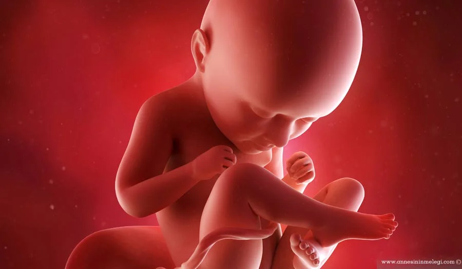 35 +0 gebeli, 35 1 haftalık doğan bebek yaşarmı, 35 6 haftalık gebelikte dogum, 35 gebelik haftası, 35 hafdalik bebek normal dogumu, 35 hafta, 35 hafta 2 günlük gebelik, 35 hafta 3 günlük bebek, 35 hafta 3 günlük bebek resimleri, 35 hafta 3 günlük gebelik, 35 hafta bebek gelişimi, 35 hafta bebek kilosu, 35 hafta doğan bebek, 35 hafta doğan bebekler, 35 hafta doğan bebekler; 35 hafta gebelik ultrason görüntüleri; 35 haftalık bebeğin kilosu ve boyu; 35 haftalik dogan bebek; 35 haftalık doğan bebek; 35 haftalık gebelik ultrason görüntüleri; 35 hafta, 35 hafta doğum, 35 hafta gebelik, 35 hafta gebelik hamilelik görüntüleri, 35 hafta gebelik ultrason görüntüleri, 35 hafta hamileyim, 35 hafta usg, 35 haftada ağrılar, 35 haftada bebek kilosu, 35 haftada doğan bebekler, 35 haftada dogan erkek bebek, 35 haftada doğan ikiz bebekler, 35 haftada gebelik, 35 haftada sancı, 35 haftada sezeryan olanlar, 35 haftalık 3 boyutlu bebek görüntüsü, 35 haftalık 3d bebek görüntüsü, 35 haftalık 4 boyutlu bebek görüntüsü, 35 haftalık anne karnında bebek, 35 haftalık bebeğin anne karnındaki duruşu, 35 haftalık bebeğin anne karnındaki görüntüsü, 35 haftalık bebeğin boyu, 35 haftalık bebeğin boyu ve kilosu, 35 haftalık bebeğin erkek belirtileri, 35 haftalık bebegin gelişimi, 35 haftalık bebeğin kilosu ve boyu, 35 haftalık bebeğin ultrason görünt, 35 haftalık bebeğin ultrason görüntüleri, 35 haftalık bebeğin ultrason görüntüsü, 35 haftalık bebek, 35 haftalik bebek boyu, 35 haftalık bebek gelişimi, 35 haftalık bebek görüntüsü, 35 haftalık bebek kilosu, 35 haftalık bebek kilosu ve boy, 35 haftalık bebek kilosu ve boyu, 35 haftalık bebek nasıl görünür, 35 haftalık bebek ultrason görüntüleri, 35 haftalik bebek yasarmi, 35 haftalik bebekk görüntüsü, 35 haftalık doğan bbek yaşar mı, 35 haftalik dogan bebek, 35 haftalık doğan bebek bakımı, 35 haftalık doğan bebek gelişimi, 35 haftalık doğan bebek görüntüsü, 35 haftalik dogan bebek resimleri, 35 haftalık doğan bebek yaşarmı, 35 haftalik dogan bebeklee, 35 haftalik dogan bebeklerin gorüntuleri, 35 haftalık dogan cocuklar, 35 haftalık doğan çocukta, 35 haftalik dogan erkek bebekler, 35 haftalık doğmuş bebekler, 35 haftalık doğum sancıları nst de 100, 35 haftalık doğum yapanlar, 35 haftalık erkek bebek, 35 haftalık erkek bebek görüntüsü, 35 haftalik gebelik, 35 haftalık gebelik görüntüleri, 35 haftalık gebelik kilosu, 35 haftalık gebelik nst ölçümleri, 35 haftalik gebelik sik tuvalet, 35 haftalık gebelik ultrason görüntüleri, 35 haftalık gebelik ve anne karnında görünümü, 35 haftalık gebeliklerde bebeklerin hareketleri kadınlar kulübü, 35 haftalik gebelikte bebeği hareketlerini nasıl, 35 haftalık gebelikte bebeğin duruşu, 35 haftalık gebelikte bebegin duruşu nedir, 35 haftalık gebelikte bebeğin pozisyonu, 35 haftalık gebelikte bebek kilosu, 35 haftalık gebelikte beslenme, 35 haftalık gebelikte normal doğum yapanlar, 35 haftalık gebelikte rahim ağzı silinmesi, 35 haftalık hamile olanlar, 35 haftalık hamile ve bebek, 35 haftalık hamilelik, 35 haftalık hamilelikte doğum yapanlar, 35 haftalık hamilelikte öksürüğün zararları, 35 haftalık hamileyim, 35 haftalık ikiz bebek gelişimi, 35 haftalık ikiz doğum, 35 haftalık kız ultrason görüntüsü, 35 haftalık sezeryan doğum, 35 haftalık ultrason görüntüleri, 35 haftalık ultrason görüntüsü, 35 haftalıkbebegın anne karnındakı kılosu ayına gore kılosu, 35+0 haftalık gebelik, 35+0 haftalık hamilelik 35 +6 haftalik gebelik, 35+4 haftalık gebelik, 35+6 gebelik haftası, 35+6 günlük gebelik, 35- heftede doganlar, 35. dyo resim yarışması, 35. gebelik haftasında bebeğin anne karnındaki duruşu, 35. hafta bebek duruşları, 35. hafta bebek ultrason görüntüleri, 35. hafta doğan bebek yaşarmı, 35. hafta doğanlar, 35. hafta hamilelik, 35. hafta kiz bebek kilosu, 35. hafta ultrason görüntüleri, 35. haftada bebegin anne karnindaki pozisyonu, 35. haftada doğan bebek, 35. haftada dogum yapanlar, 35. haftada normal doğum, 35.dyo yarışması sonuçları, 35.hafta doğum yapanlar, 35.hafta gebelik görüntüleri, 35.hafta gebelikte doğum, 35.hafta normal doğum, 35.haftada bebek hareketleri, 35.haftada doğan bebek yaşarmı, 35.haftada sezeryan, 35.haftadayım daha hazırlık yapmadım, 35hafta, 35haftada bebek kilosu, 35haftalik anne karnında bebek, 35haftalik erkek bebek, 35haftalık hamilelik, anne karnında 35 hafta, anne karnında 35 haftalık bebek, aylara göre hamilelik nasıl oluyor, erkek bebek bekleyenler kadınlar kulübü, gebelikte 35 hafta, gebelikte 35hafta bebek gelişimi, Hafta Hafta Bebek Gelişimi, hamilelik kadınlar kulübü, hamilelikte 35 hafta, kadın 35 hafta, kız bebek bekleyenler kadınlar kulübü, parmağını emen bebek görüntüsü