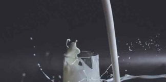 İnek sütü alerjik etkisi nedeniyle, bazı kişilerde hazımsızlık ve şişkinlik gibi sorunlara neden olabiliyor