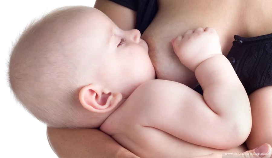 Anne sütü bebek için en ideal besin kaynağı olup faydaları, bebeğin karnını doyurmasının çok ötesindedir. Bebeğin ilk 6 ayında hemen hemen tüm beslenme ve vitamin ihtiyaçlarını tek başına karşılayan anne sütü, içerdiği pek çok yararlı maddeyle de bebeği hastalıklardan korur. emzirirken kilo vermek,emzirme haftası,anne sütü, anne sütü faydaları,emzirme,anne bebek blog, anne blog, anne çocuk, anne sütü, anne sütü artırıcı besinler, Anne Sütü Arttıran İçecek, anne sütü arttıran yöntemler, anne sütü arttıran yöntemler ve yiyecekler neler, Anne Sütü Arttırıcı, Anne sütü arttırıcılar, Anne Sütü Arttırma, Anne sütü arttırma yolları, Anne sütü az olanlara, Anne sütü emzirdikçe artar, anne sütü faydaları, anne sütü hangi hastalıklardan korur, Anne Sütü ile Beslenme, Anne sütü nasıl artar, anne sütü nasıl artar diyenler; anne sütünü arttırmanın yolları arasında, anne sütü nasıl artar hakkında bilgi, anne sütü nasıl artar ibrahim saraçoğlu, anne sütü nasıl artar kadınlar kulübü, Anne sütü nasıl artar makalesinden anne sütünü arttıran bitkiler, anne sütü nasıl artar uzmantv, Anne sütü nasıl artar? | Uykusuz Anneler Kulübü, Anne sütü nasıl artırılır, Anne sütü nasıl arttırılır, Anne Sütü Nasıl Arttırılır | Makale, Anne Sütü Nasıl Arttırılır? İbrahim Saraçoğlu: Anne Sütünü Arttırmak, anne sütü nasıl çoğalır, anne sütü nasıl gelir, anne sütü nasıl oluşur, anne sütü nasıl saklanır, Anne sütü nasıl üretilir, anne sütü neden azalır, ANNE SÜTÜ VE VERİMLİLİĞİNİ ARTTIRMAK, Anne sütü yapan yiyecekler, anne sütünü artıran besinler, Anne sütünü artıran yiyecekler, Anne Sütünü Artıran Yiyecekler İle Kalitesi Sütü Nasıl Artar, Anne sütünü artırmak için ne yapmalı, Anne sütünü artırmak için neler yapılmalıdır, Anne sütünü artırmak ve kaliteli süt oluşumu için ne yapılmalıdır, Anne sütünü artırmanın en önemli yolu, Anne Sütünü Artırmanın Yolları, Anne sütünü arttıran besinler, Anne sütünü arttıran besinler nelerdir? Anne sütü nasıl artar?, Anne sütünü Arttiran gıdalar, anne sütünü arttıran içecekler, Anne sütünü arttırma, anne sütünü arttırmak için kür önerileri, anne sutunu arttirmanin yollari, anne sütünü arttırmanın yolları hakkında bilgiler. Anne sütünün faydaları, Anne sütünü arttırmanın yolları nelerdir, anne sütünü azaltan sebepler, anne sütünü nasıl arttırabilirim, Anne Sütünü Nasıl Arttırabilirsiniz, Anne sütünü ve verimliliğini arttırmak için nasıl beslenilmelidir, anne sütünün faydaları, Anne Sütünün Kalitesi Nasıl Anlaşılır ve Artırılır, Anne sütünün kalitesi nasıl artırılır?, Anne Sütünün Kalitesini Artıran Yiyecekler, Anne sütünün miktarı ve kalitesi nasıl artar?, anne sütünün önemi, anne ve bebek, annenin sütünün kalitesi arttırıcı yiyecekler ve bitkiler, Annes ütünü arttıran yiyecekler, Annesütü nasıl artar, Artılır, bebek blog, bebek blogları, bebek emebilecek mi, bebek emzirmenin faydaları, bebek emzirmenin önemi, bebek hastalıkları nelerdir, Bebek Hazırlıkları için başvuru adresiniz, Bebekte Dengeli Beslenme, blogger anne, bu süt nasıl arttırılır, Çaylar, Doğumsonrası annesütü nezaman gelir, Emziren kadınlar sütlerinin artması için neler yemeli, Emzirerek anne sütü nasıl arttırılır, emzirme, emzirme haftası, emzirmek mi biberonla beslemek mi, erkek bebek anneleri kadınlar kulübü, Gebelikte Meme Bakımı, Gıdalar, hangi arttıran gıdalar ile anne sütü nasıl artar, Her annenin sütü bebeğine yeter, İbrahim Saraçoğlu’ndan, kız bebek anneleri kadınlar kulübü, Malt içecekleri anne sütünü arttırır mı, nasıl beslenmeli, neler anne sütünü arttırır ve anne sütünü arttırmak için neler yapılmalı, nelere dikkat etmeli, nne Sütünü Artırmanın Yolları, süt miktarı nasıl arttırılır ve nasıl, süt nasıl arttırılır, süt yetecek mi, sütü artırmak için, sütü az gelenlere, sütüm bebeğime yeterli mi, sütümü nasıl artırabilirim, Sütün artması için sağılması çok önemli, yeni doğan bebek, yenidoğan bebek,ağız sütü, Anne Bebeği Nasıl Emzirir, anne bebek blog, anne blog, anne sütü, Anne Sütü ve Emzirme, Anne Sütü ve Emzirmenin yararları, anne sütünün önemi, Anne Sütünün Önemi ve Doğru Emzirme, Başarılı Emzirme Teknikleri, bebek blog, bebek blogları, Bebek Emzirme, Bebek Emzirme – Anne Bebeği’ni Nasıl Emzirebilir Bebek Emzirme – Anne Bebeği Nasıl Emzirir, Bebek Hazırlıkları için başvuru adresiniz, Bebekler ile ilgili doğru bildiğimiz yanlışlar, blogger anne, Doğum sonrası emzirme klavuzu, emziren kadın, emzirme, emzirme dönemi ve su ihtiyacı, Emzirme hakkında bilinmesi gerekenle, emzirme sorunları emziren anne diyeti emzirme eğitimi emzirme teknikleri emzirme süresi bebek emzirme emzirme önlüğü, Emzirmede doğru yöntem nasıldır, Emzirmede en çok dikkat etmemiz gereken kurallar nelerdir?, Emzirmenin 5 Altın Kuralı, Emzirmenin altın kuralları, emzirmenin faydaları nelerdir, Emzirmenin Püf Noktaları, Emzirmeye Başlarken ve Emzirmenin incelikleri, erkek bebek anneleri kadınlar kulübü, ilk aşı kolostrum, kız bebek anneleri kadınlar kulübü, kolostrum, mumsy natural, mumsy natural göğüs bakım kremi, mumsy natural göğüs çatlağı kremi, mumsy natural göğüs kremi, mumsy natural göğüs ucu tedavi kremi, mumsy natural meme bakım kremi, mumsy natural meme çatlağı kremi, mumsy natural meme kremi, Yeni doğan bebeklerde emzirme düzeni nasıl olmalıdır, Yenidoğan Emzirme ve Süt Üretiminde İlk Günler