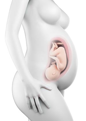 Hamileliğinizin 39. haftasında artık hamileliğinizin sonralarına yaklaşıyorsunuz. Her an doğum yapabilirsiniz. Doğumunuzun yaklaşıp yaklaşmadığı ile ilgili kaygılanmadan önce hamilelikte 39. hafta yazımıza göz atın,hafta hafta hamilelik Hafta hafta gebelik (hamilelik) dönemi belirtileri Hafta Hafta Hamilelik - Gebelik Hafta hafta gebelik Hafta Hafta Hamilelik Hafta Hafta Hamilelik Hafta hafta gebelik hamilelik 39 Hafta Hamileliğiniz Bebeğin Hafta Hafta Gelişimi 39 Haftalık Gebelik Serüveni gebelik ultrason görüntüleri,3 boyutlu bebek, 39 gebelik haftası, 39 hafta, 39 hafta bebek gelişimi, 39 hafta doğum, 39 hafta gebelik, 39 hafta hamilelik, 39 hafta hamileyim, 39 haftada bebek kilosu, 39 haftalık 3 boyutlu bebek görüntüsü, 39 haftalık 3d bebek görüntüsü, 39 haftalık 4 boyutlu bebek görüntüsü, 39 haftalık bebeğin anne karnındaki görüntüsü, 39 haftalık bebeğin boyu, 39 haftalık bebek, 39 haftalık bebek görüntüsü, 39 haftalık bebek kilosu, 39 haftalık bebek nasıl görünür, 39 haftalık bebek ultrason görüntüsü, 39 haftalık erkek bebek, 39 haftalık erkek bebek görüntüsü, 39 haftalık gebelik, 39 haftalık gebelikte bebek kilosu, 39 haftalık gebeyim, 39 haftalık hamilelik, 39 haftalık hamileyim, 39 haftalık kız bebek, 39 haftalık ultrason, 39 haftalık ultrason görüntüsü, 39hafta, 39haftada bebek kilosu, 3d bebek görüntüsü, 3d hamilelik, 9 aylık gebelik, 9 aylık hamilelik, 9. ay gebelik, anne bebek blog, anne blog, anne karnında 39 hafta, anne karnında 39 haftalık bebek, anne karnında bebek, aylara göre hamilelik nasıl oluyor, bebek, bebek blog, bebek blogları, blogger anne, doğuma 3 hafta kaldı, doğuma az kaldı, erkek bebek anneleri kadınlar kulübü, erkek bebek ultrason görüntüsü, gebeliğin 39. haftası, Gebelik, gebelik takibi, gebelikte 39 hafta bebek gelişimi, gebelikte 39. hafta, gebelikte 9. ay, gebelikte son hafta, gebeyim, hafta hafta, Hafta Hafta Bebek Gelişimi, hafta hafta gebelik, hafta hafta hamilelik, Hamilelik, hamilelikte 39 hafta, hamilelikte 9. ay, hamilelikte nst, hamilelikte son hafta, hamileyim, ikiz bebek, kadın 39 hafta, kız bebek anneleri kadınlar kulübü, kız bebek ultrason görüntüsü, normal doğum, nst, nst işlemi, nst nedir, Resim, sezeryan doğum, son 1 hafta, son 2 hafta, ultrason