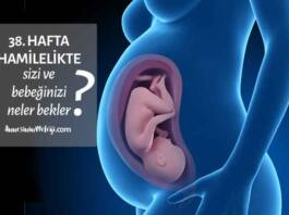 Hafta Hafta Gebelik: Hamilelikte 38. Hafta | 2023