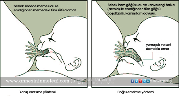 Başarılı Emzirme İçin Dikkat Etmeniz Gerekenlerin Neler Olduğunu Biliyor musunuz? Doğum sonrası göğüs ucu çatlakları nasıl önlenir? Doğum sonrası göğüs ucu çatlakları nasıl tedavi edilir? Doğum sonrası göğüs ucu çatlakları nasıl önlenir? Doğum sonrası göğüs ucu çatlakları nasıl tedavi edilir? Emzirme teknikleri, doğru emzirme. gögüs ucu çatlakları için bitkisel çözüm gögüs çatlagina ne iyi gelir gögüs ucu çatlakları nasıl geçer garmastan gögüs ucu çatlakları için krem gögüs çatlakları için bitkisel öneriler gögüs ucu yarası neden olur gögüs ucu yarası nasıl düzelir gögüs çatlakları için ne yapmalıyız