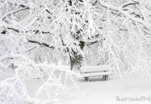 Eğlenceli Gerçekler: Kar neden yağar? Eğlenceli Gerçekler: Kar neden yağar? kar nasıl oluşur? Çocuklarımız için eğlenceli gerçekler: Kar neden yağar, kar nasıl oluşur,bunları biliyor musunuz,kar nasıl olur, kar neden yağar, kar oluşumu,kar mevsimi,kar nasıl oluşur, bunları biliyor musunuz?