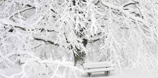 Eğlenceli Gerçekler: Kar neden yağar? kar nasıl oluşur? Çocuklarımız için eğlenceli gerçekler: Kar neden yağar, kar nasıl oluşur,bunları biliyor musunuz,kar nasıl olur, kar neden yağar, kar oluşumu,kar mevsimi,kar nasıl oluşur, bunları biliyor musunuz?