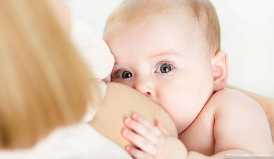 Anne sütü nasıl artar? Anne sütünü arttırmak için.. Her annenin sütü bebeğine yeter. Anne sütünü arttırmak için yapmanız gereken şey, sütünüzün yetersiz olduğu kaygısını aklınızdan atarak, düzenli ve dengeli beslenmeye dikkat edip, bol bol su içtiğinizden emin olmaktır. Anne sütü nasıl artar? Anne sütünü arttırmak için.. Her annenin sütü bebeğine yeter. Anne sütünü arttırmak için yapmanız gereken şey, sütünüzün yetersiz olduğu kaygısını aklınızdan atarak, düzenli ve dengeli beslenmeye dikkat edip, bol bol su içtiğinizden emin olmaktır. anne çocuk, anne sütü,anne sütü artırıcı besinler, Anne Sütü Arttıran İçecek, anne sütü arttıran yöntemler,anne sütü arttıran yöntemler ve yiyecekler neler, Anne Sütü Arttırıcı, Anne sütü arttırıcılar, Anne Sütü Arttırma, Anne sütü arttırma yolları, Anne sütü az olanlara, Anne sütü emzirdikçe artar,Anne Sütü ile Beslenme,Anne sütü nasıl artar,anne sütü nasıl artar diyenler; anne sütünü arttırmanın yolları arasında, anne sütü nasıl artar hakkında bilgi, anne sütü nasıl artar ibrahim saraçoğlu,anne sütü nasıl artar kadınlar kulübü, Anne sütü nasıl artar makalesinden anne sütünü arttıran bitkiler,anne sütü nasıl artar uzmantv, Anne sütü nasıl artar? | Uykusuz Anneler Kulübü, Anne sütü nasıl artırılır, Anne sütü nasıl arttırılır, Anne Sütü Nasıl Arttırılır | Makale, Anne Sütü Nasıl Arttırılır? İbrahim Saraçoğlu: Anne Sütünü Arttırmak, anne sütü nasıl çoğalır, anne sütü nasıl gelir, anne sütü nasıl oluşur, anne sütü nasıl saklanır, Anne sütü nasıl üretilir, anne sütü neden azalır, ANNE SÜTÜ VE VERİMLİLİĞİNİ ARTTIRMAK, Anne sütü yapan yiyecekler, anne sütünü artıran besinler,Anne sütünü artıran yiyecekler, Anne Sütünü Artıran Yiyecekler İle Kalitesi Sütü Nasıl Artar,Anne sütünü artırmak için ne yapmalı, Anne sütünü artırmak için neler yapılmalıdır, Anne sütünü artırmak ve kaliteli süt oluşumu için ne yapılmalıdır, Anne sütünü artırmanın en önemli yolu, Anne Sütünü Artırmanın Yolları, Anne sütünü arttıran besinler, Anne sütünü arttıran besinler nelerdir? Anne sütü nasıl artar?, Anne sütünü Arttiran gıdalar, anne sütünü arttıran içecekler, Anne sütünü arttırma, anne sütünü arttırmak için kür önerileri, anne sutunu arttirmanin yollari, anne sütünü arttırmanın yolları hakkında bilgiler. Anne sütünün faydaları,Anne sütünü arttırmanın yolları nelerdir, anne sütünü azaltan sebepler,anne sütünü nasıl arttırabilirim, Anne Sütünü Nasıl Arttırabilirsiniz, Anne sütünü ve verimliliğini arttırmak için nasıl beslenilmelidir, Anne Sütünün Kalitesi Nasıl Anlaşılır ve Artırılır, Anne sütünün kalitesi nasıl artırılır?, Anne Sütünün Kalitesini Artıran Yiyecekler, Anne sütünün miktarı ve kalitesi nasıl artar?,annenin sütünün kalitesi arttırıcı yiyecekler ve bitkiler, Annes ütünü arttıran yiyecekler,Annesütü nasıl artar,Artılır, bebek anne sutunu emmeye nasıl akıstırılır, bebek anne sutunu emmeye nasıl alıştırılır, bebek emebilecek mi, Bebekte Dengeli Beslenme, bu süt nasıl arttırılır, Çaylar,Doğumsonrası annesütü nezaman gelir, emziren anneler maden suyunun zararı varmı, Emziren kadınlar sütlerinin artması için neler yemeli, Emzirerek anne sütü nasıl arttırılır,Gebelikte Meme Bakımı,Gıdalar, hangi arttıran gıdalar ile anne sütü nasıl artar, Her annenin sütü bebeğine yeter,İbrahim Saraçoğlu’ndan,Malt içecekleri anne sütünü arttırır mı, nasıl beslenmeli, neler anne sütünü arttırır ve anne sütünü arttırmak için neler yapılmalı, nelere dikkat etmeli, nne Sütünü Artırmanın Yolları, süt miktarı nasıl arttırılır ve nasıl, süt nasıl arttırılır, süt yetecek mi, sütü artırmak için, sütü az gelenlere, sütüm bebeğime yeterli mi,sütümü nasıl artırabilirim, Sütün artması için sağılması çok önemli