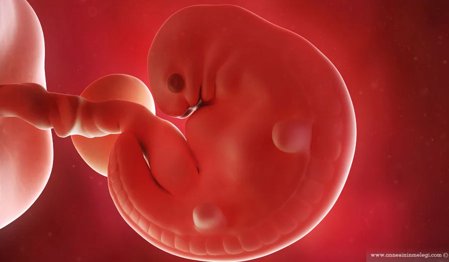 1 +0 gebelik, 1 haftalık bebek, 2 haftalık gebelik, 3 gebelik haftası, 4 hafdalik bebek, 5 hafta 2 günlük gebelik, 5 hafta 3 günlük bebek, 5 hafta 3 günlük bebek resimleri, 5 hafta 3 günlük gebelik, 5 hafta bebek gelişimi, 5 hafta bebek kilosu, 5 hafta gebelik ultrason görüntüleri; 5 haftalık bebeğin kilosu ve boyu; 5 haftalık gebelik ultrason görüntüleri; 3 hafta,5 hafta gebelik, 3 hafta gebelik hamilelik görüntüleri, 5 hafta gebelik ultrason görüntüleri, 5 hafta hamileyim, 5 hafta usg, 5 haftada ağrılar, 5 haftada bebek kilosu, 5 haftada gebelik, 5 haftada sancı,5 haftalık 3 boyutlu bebek görüntüsü, 5 haftalık 3d bebek görüntüsü, 5 haftalık 4 boyutlu bebek görüntüsü, 5 haftalık anne karnında bebek, 5 haftalık bebeğin anne karnındaki duruşu, 5 haftalık bebeğin anne karnındaki görüntüsü, 5 haftalık bebeğin boyu, 5 haftalık bebeğin boyu ve kilosu, 5 haftalık bebeğin erkek belirtileri,5 haftalık bebegin gelişimi, 5 haftalık bebeğin kilosu ve boyu,5 haftalık bebeğin ultrason görünt, 5 haftalık bebeğin ultrason görüntüleri, 5 haftalık bebeğin ultrason görüntüsü, 5 haftalık bebek, 5 haftalik bebek boyu, 5 haftalık bebek gelişimi, 5 haftalık bebek görüntüsü, 5 haftalık bebek kilosu, 5 haftalık bebek kilosu ve boy, 5 haftalık bebek kilosu ve boyu, 5 haftalık bebek nasıl görünür, 5 haftalık bebek ultrason görüntüleri, 5 haftalik bebek yasarmi, 5 haftalik bebekk görüntüsü, 5 haftalık erkek bebek, 5 haftalık erkek bebek görüntüsü, 5 haftalik gebelik, 35 haftalık gebelik görüntüleri, 35 haftalık gebelik kilosu, 35 haftalık gebelik nst ölçümleri, 35 haftalik gebelik sik tuvalet, 5 haftalık gebelik ultrason görüntüleri, 5 haftalık gebelik ve anne karnında görünümü, 5 haftalık gebeliklerde bebeklerin hareketleri kadınlar kulübü, 35 haftalik gebelikte bebeği hareketlerini nasıl, 5 haftalık gebelikte bebeğin duruşu, 5 haftalık gebelikte bebegin duruşu nedir, 5 haftalık gebelikte bebeğin pozisyonu, 5 haftalık gebelikte bebek kilosu, 5 haftalık gebelikte beslenme, 5 haftalık hamile olanlar, 5 haftalık hamile ve bebek,5 haftalık hamilelik, 5 haftalık hamilelikte öksürüğün zararları, 5 haftalık hamileyim, 5 haftalık ikiz bebek gelişimi, 5 haftalık ikiz doğum, 35 haftalık kız ultrason görüntüsü, 35 haftalık sezeryan doğum,35 haftalık ultrason görüntüleri, 5 haftalık ultrason görüntüsü, 5 haftalık bebegın anne karnındakı kılosu ayına gore kılosu, 5+0 haftalık gebelik, 5+0 haftalık hamilelik 5 +6 haftalik gebelik, 35+4 haftalık gebelik, 5+6 gebelik haftası, 5+6 günlük gebelik, 5. gebelik haftasında bebeğin anne karnındaki duruşu, 5. hafta bebek duruşları, 5. hafta bebek ultrason görüntüleri, 35. hafta doğan bebek yaşarmı,35. hafta doğanlar, 35. hafta hamilelik, 35. hafta kiz bebek kilosu, 35. hafta ultrason görüntüleri, 5. haftada bebegin anne karnindaki pozisyonu,5.hafta gebelik görüntüleri, 5.haftada bebek hareketleri, 5hafta, 5haftada bebek kilosu, 3haftalik anne karnında bebek,5haftalik erkek bebek,5haftalık hamilelik, anne karnında 5 hafta, anne karnında 5 haftalık bebek, aylara göre hamilelik nasıl oluyor,erkek bebek bekleyenler kadınlar kulübü,gebelikte 5 hafta,gebelikte 5hafta bebek gelişimi, Hafta Hafta Bebek Gelişimi, hamilelik kadınlar kulübü,hamilelikte 5 hafta,kadın 5 hafta, kız bebek bekleyenler kadınlar kulübü, 5 hafta hamilelikte cinsiyet belli olur mu, bebeğin cinsiyeti ne zaman belli olur, Hafta Hafta Hamilelik Takibinde 1-5. Haftalar