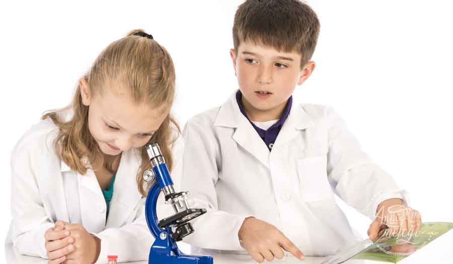 TÜBİTAK, geleceğin bilim insanı olmak için aday öğrencileri erken yaşlarda keşfederek yeteneklerini teşvik etmek ve geliştirmek amacıyla biyoloji, fizik, kimya ve matematik alanlarında