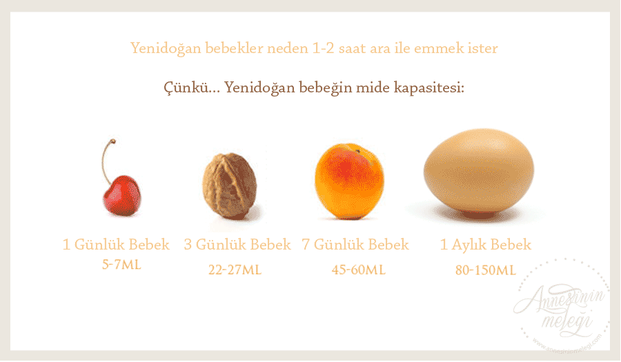 Yenidoğan Bebeğimi Ne Sıklıkta Emzirmeliyim emzirme bebek emzirme emziren emziren annelere emziren anne yenidoğan bebek emzirme yeni doğan bebeği emzirmek emzirme dönemiyeni doğan bebeği ne kadar emzirmeli yeni doğan bebekleri ne kadar emzirmeli yeni doğan bebeğimi ne kadar emzirmeliyim