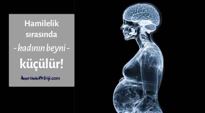 Unutkan hamileler ve annelere hafızayı canlı tutmak için öneriler Hamilelik sırasında bir kadının beyni küçülür.
