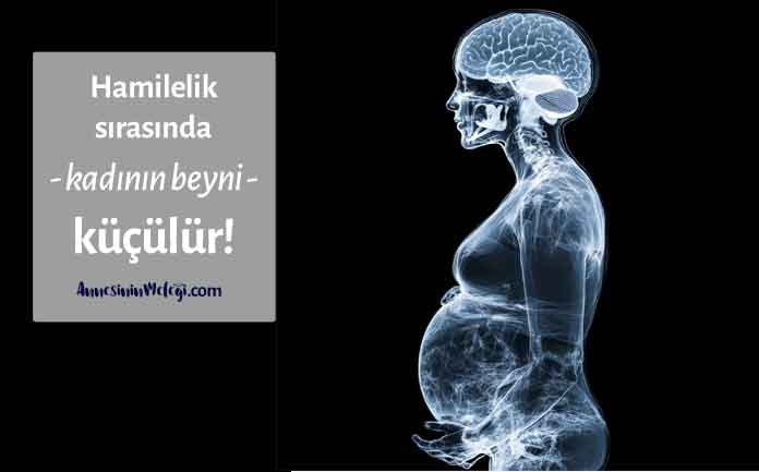 Hamilelik sırasında bir kadının beyni küçülür. Hamilelik sırasında bir kadının beyni küçülür.