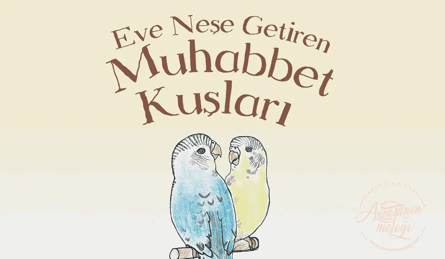 Kitap Önerisi: Eve Neşe Getiren Muhabbet Kuşu Çocuk kitabı önerisi: Eve Neşe Getiren Muhabbet Kuşu. kitap önerisi,çocuk kitapları,çocuk eğitimi,çocuk hikaye kitabı,çocuk romanı,hayy kitap mehmet kemal erdoğan hayykitap,esra keskin muhabbet kuşları