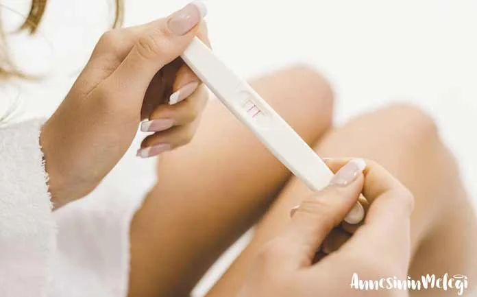 Erken Hamilelik Belirtileri: Erken hamilelikte Lekelenmeler ve yerleşme ağrıları, adet gecikmesi, memelerde dolgunluk ve hassasiyet, yorgunluk