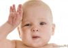 Bebeklerin doğumdan sonra yalnızca başındaki ter bezleri çalışır. Bu yüzden bebekler sıklıkla başlarından terlerler.