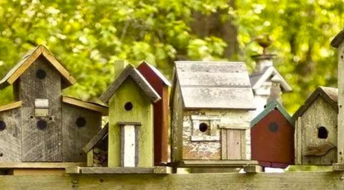 Çocuklar, ’Kuş Evi Boyama Atölyesi’nde soğuk kış günleri öncesinde minik kuşlar için rengarenk ahşap yuva tasarlayacaklar.