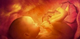 Amniyon sıvısı; bebeği ses, darbe ve enfeksiyondan koruyor!