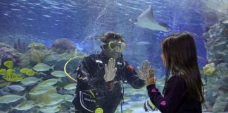 Emaar Akvaryum ve Sualtı Hayvanat Bahçesi, sömestr tatili bitmeden aileleri keyifli bir gün geçirmeye davet ediyor. Çocuklar birbirinden eğlenceli aktiviteler ve besleme seansları ile hem eğlenip hem öğrenirken, anne babalar da akvaryumun büyülü dünyasını keşfetme şansı yakalıyor.