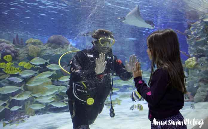 Emaar Akvaryum ve Sualtı Hayvanat Bahçesi, sömestr tatili bitmeden aileleri keyifli bir gün geçirmeye davet ediyor. Çocuklar birbirinden eğlenceli aktiviteler ve besleme seansları ile hem eğlenip hem öğrenirken, anne babalar da akvaryumun büyülü dünyasını keşfetme şansı yakalıyor. Emaar Akvaryum ve Sualtı Hayvanat Bahçesi, sömestr tatili bitmeden aileleri keyifli bir gün geçirmeye davet ediyor. Çocuklar birbirinden eğlenceli aktiviteler ve besleme seansları ile hem eğlenip hem öğrenirken, anne babalar da akvaryumun büyülü dünyasını keşfetme şansı yakalıyor.