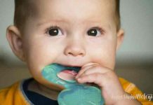 Bebekler çiğnemeye nasıl alıştırılır? Bebekler çiğnemeye nasıl alıştırılır? Bebeklerin çiğnemeye alıştırılması için öncelikle bebek diş kaşıyıcılarına ve ek gıda denemelerine ilk başladığınız andan itibaren pütür içeren meyve suları, sebze çorbalarına ihtiyacınız var.