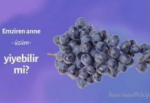 emziren anne üzüm yiyebilirmi, Emzirirken Üzüm Yiyebilir misiniz?