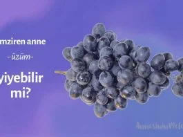 emziren anne üzüm yiyebilirmi, Emzirirken Üzüm Yiyebilir misiniz?