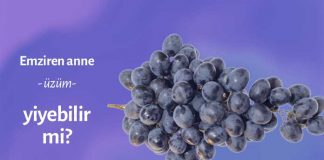Emziren anne üzüm yiyebilir mi? emziren anne üzüm yiyebilirmi, Emzirirken Üzüm Yiyebilir misiniz?