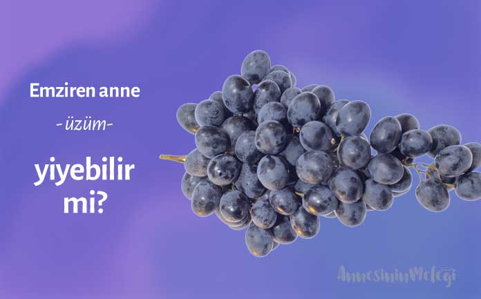 emziren anne üzüm yiyebilirmi, Emzirirken Üzüm Yiyebilir misiniz? emziren anne üzüm yiyebilirmi, Emzirirken Üzüm Yiyebilir misiniz?