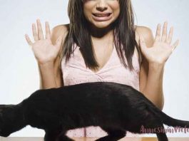 Kedi ve Köpekten Korkmanızın Nedeni Anne ya da Babanızın Korkuları Olabilir