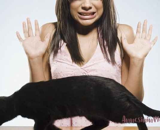 Kedi ve Köpekten Korkmanızın Nedeni Anne ya da Babanızın Korkuları Olabilir