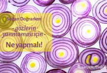 Soğan Doğrarken Gözlerin Yanmaması İçin Ne Yapmalı? Soğan Doğrarken Gözlerin Yanmaması İçin Ne Yapmalı?