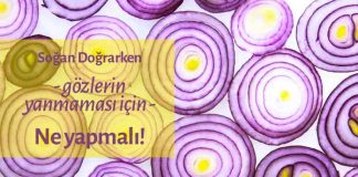 Soğan Doğrarken Gözlerin Yanmaması İçin Ne Yapmalı?
