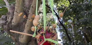 Doğa ile yakınlaşmak, yaşam alanlarına enerji katmak ve en güzel dileklerin yeşermesini umut etmek için harekete geçen Büyübitki, bu kez çocukları doğanın gizli kahramanı kuşlar ile bir araya getiriyor.