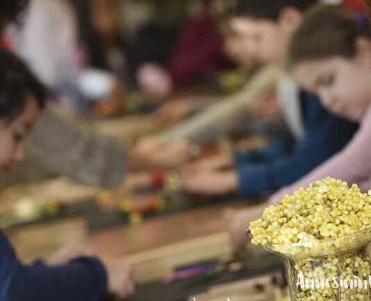 SSM Kasım 2022 ve Ara Tatil Atölye Programları